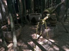 -苏州环秀晓筑养生度假村
