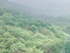 -紫金山索道-售票处
