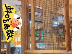 -小木屋米酒店·韩国料理(深圳总店)