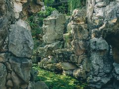 -豫园