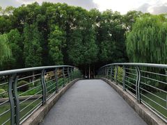 -九科绿洲