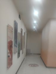 -彼家美创·量肤定制修护管理