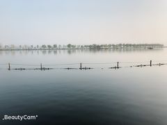 -西湖外事游船(花港观鱼码头)