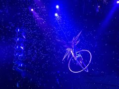 -珠海横琴长隆《卡卡虎奇遇记》