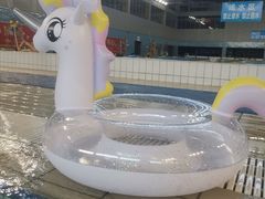 -奥体体育中心游泳馆