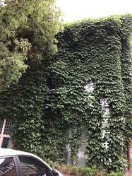 -新蝶变皮肤管理中心