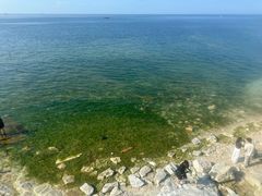 -养马岛旅游度假区
