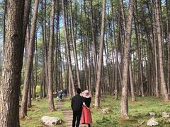 -硗碛藏寨·神木垒景区