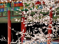 -碑林公园