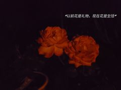-迎泽公园