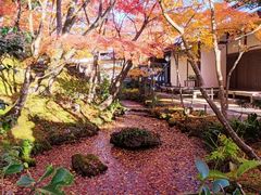 -常寂光寺