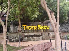 -清迈夜间动物园