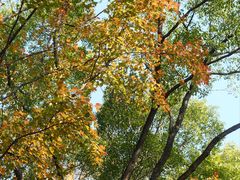 -岳麓山风景名胜区