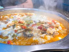 -百岁鱼(望月路店)