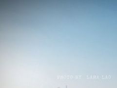 -振鼎鸡(华阴路店)