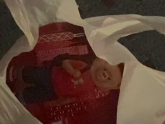 -珍妮曲奇聪明小熊(尖沙咀店)