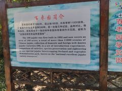 -千年枣林游览区