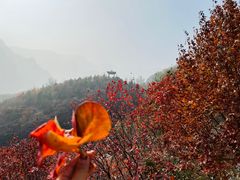 -周口店坡峰岭风景区
