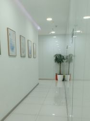 -agge蛋白医美