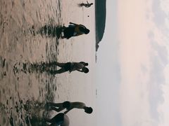 -金海滩海水浴场