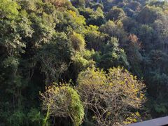 -韶关经律论国际酒店温泉