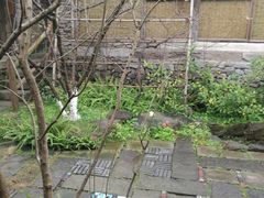 -驿舍·民國老营房院子私房菜(科学会堂店)