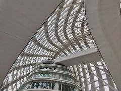 -凤凰中心