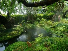 -Chom Cafe and Restaurant