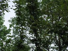 景点-白塘生态植物园