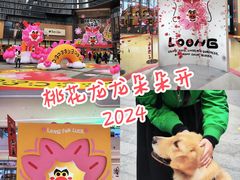 -龙湖成都上城天街