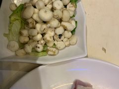 -百年果林椰子鸡(中洲店)