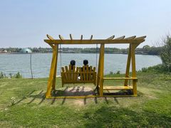 -上海都市菜园