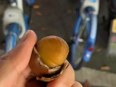 -高记福桂桂花糖炒栗(鼓楼店)