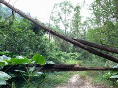 -火炉山森林公园