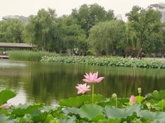 -西海子公园