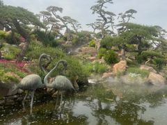 -罗红摄影艺术馆