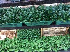 -火候轩品质湘菜·私厨(市府店)