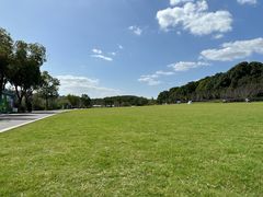 -昆山城市生态森林公园