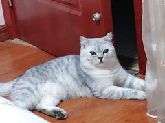 -兄弟大灶台(原纺渭路店)