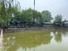 -尚庄度假村·庭台树下·户外烧烤·团建CS·轰趴营地(上庄水库店)