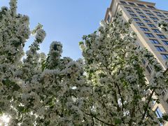 -远洋未来广场(育慧北路店)