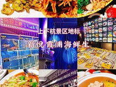 -新悦·霞浦海鲜生(上下杭店)