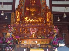 -亭林园-华藏寺