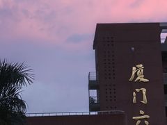 -溪岸路花鸟市场