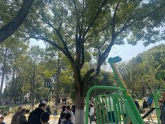 -宁波儿童公园(鄞州区)
