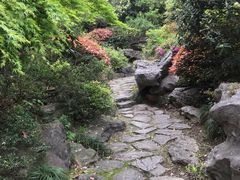 -桃花岛景观公园