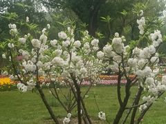 -北京植物园南门售票处