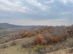 -塞罕坝国家级自然保护区