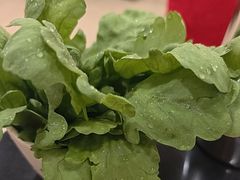 -芦月轩羊蝎子(太平桥店)