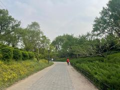 -北坞公园